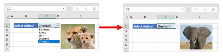 insert-a-picture-into-a-cell-automatically-in-excel-google-sheets