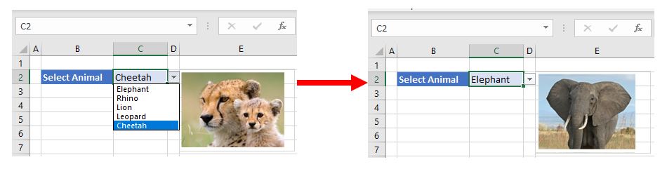 Veramente Ferro Cantina How To Insert Image In A Cell In Excel Prendere 